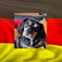 Lupi (@pia_ute) 's Twitter Profile