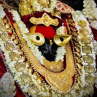सेवक अटल त्रिपाठी 🚩Maa Vindhyavashini Dham🚩 (@vindhyachaldha1) 's Twitter Profile Photo सेवक अटल त्रिपाठी 🚩Maa Vindhyavashini Dham🚩 (@vindhyachaldha1) 's Twitter Profile Photo