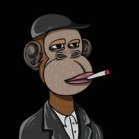 Robert.verseπ΅π (@robert_verse) 's Twitter Profile