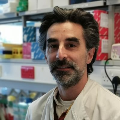 Professor of Translational Immunology @EberlLab @CUsuperbugs • Infection & Immunity • Public Involvement and Engagement • Scientist and migrant #inLimbo