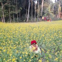 Md. Moniruzzaman (@mdmoniruzz38134) 's Twitter Profile