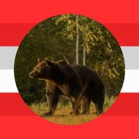 Alter Donauwels (@alterdonauwels) 's Twitter Profile Photo Alter Donauwels (@alterdonauwels) 's Twitter Profile Photo