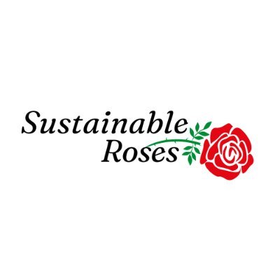 Developing sustainable rose landscapes through education, assessments, and breeding of black spot and RRD-resistant roses.🌹