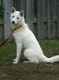 wweraw20's profile picture. 