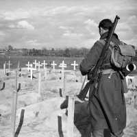 WW2 Battlefields (@ww2battlefields) 's Twitter Profile