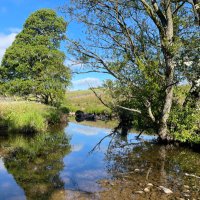 Ullswater Catchment Management CIC(@UllswaterCic) 's Twitter Profile Photo