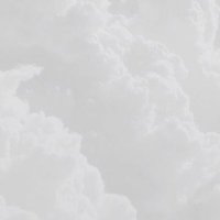 조밍밍 (@xh1nm) 's Twitter Profile Photo 조밍밍 (@xh1nm) 's Twitter Profile Photo