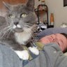 15bshall97's profile picture. #GoBlue 〽️. #WhoDey 🐯 
Radio/Internet Broadcaster and Board Opp for 97.5 WTGR FM. Pro Wrestling Fan. Waterdogs LAX 🐶