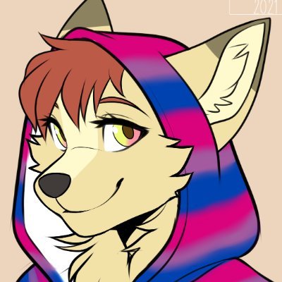 Craftyfox/Adventure Networkさんのプロフィール画像