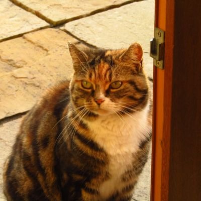 Mark_thenagain's profile picture. not the mark you’re thinking of