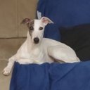 Kelly Lanham - @KellyLanha23236 - Twitter