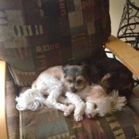 Todd Porter (@toddporter28611) 's Twitter Profile