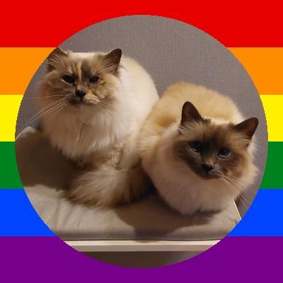 home of thee two friemdliest Birman sistors and laika (dog type) !!!!! 
we spred pawsitivity!!
Ran by cat-dade @crustybattery and bacup gorl hoom @ihaspebbles