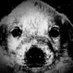 Victorpolainas (@lap3486) Twitter profile photo Victorpolainas (@lap3486) Twitter profile photo