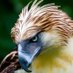 Raptor Marco (@raptormarco1) Twitter profile photo Raptor Marco (@raptormarco1) Twitter profile photo