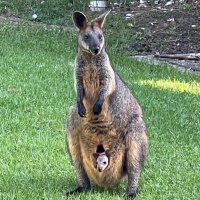 Trudy Taylor (@tataylor4) 's Twitter Profile Photo