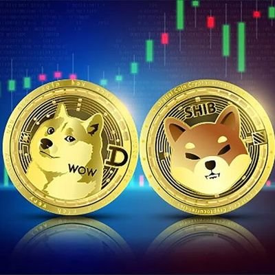 criptonauths's profile picture. creator of the next global crypto trend