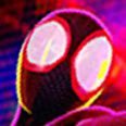 Daily Spider-Verseさんのプロフィール画像