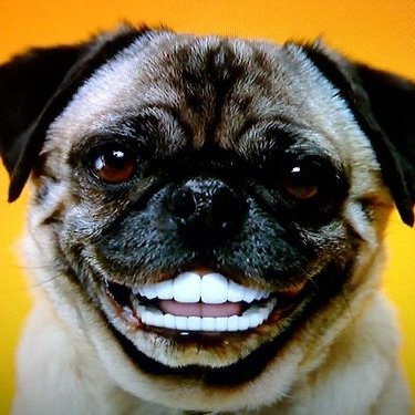 NoOpinionNoNo's profile picture. Trapped in this evil, satanic Clown World
John 14:6 KJV - Jesus saith unto him, I am the way, the truth, and the life: no man cometh unto the Father, but by me.