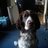 lisa gray (@lisamg13) Twitter profile photo