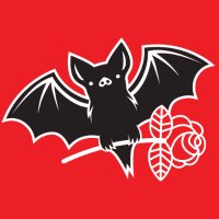 Austin DSA (@austin_dsa) 's Twitter Profile Photo
