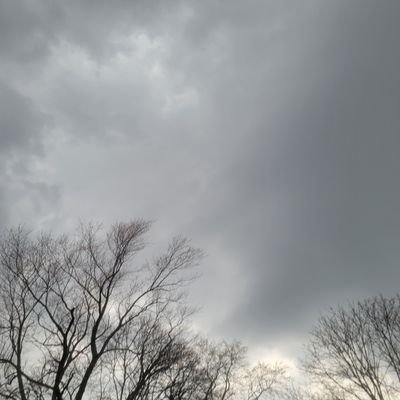 moki5443's profile picture. 18-year-old
College student
DMs are open