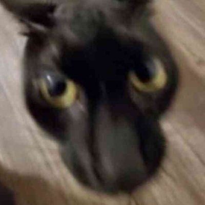 resiseven7's profile picture. the peanut butter gamer