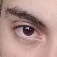 Harrison Rodrigues (@harrisonweber) 's Twitter Profile