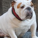 Nick Spargo - @NickSpargo - Twitter