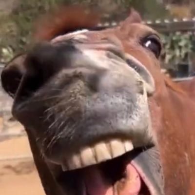 O21Hobo's profile picture. Durka Durka Durka