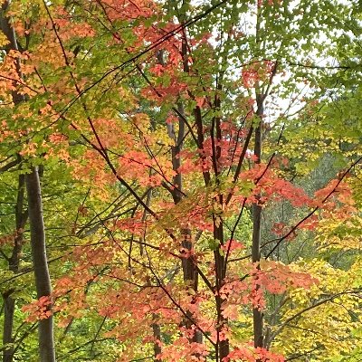 homelessactuary's profile picture. Cycling, Rock climbing, Kayaking Enthusiast, photographer, environmentalist, ally 🏳️‍⚧️🏳️‍🌈 He/Him.