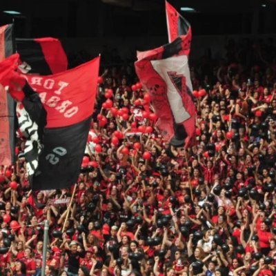 evandrospaz's profile picture. Developer Full