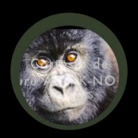 “El Guru II” (@guruafri_kno) 's Twitter Profile Photo