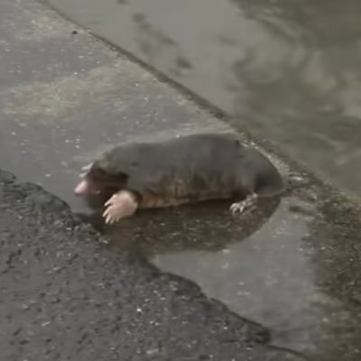 exmgrr's profile picture. 荒野より君を呼ぶ,後悔など何もない