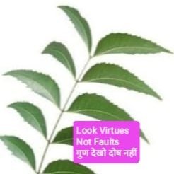 Look  Virtues-Not vices
गुण देखो-दोष नहीं 
  
परखा बहुत गया है मुझे  
लेकिन समझा नहीं गया