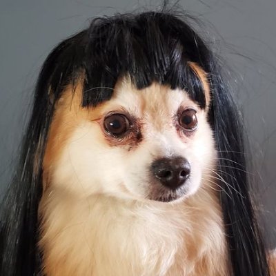 kierajaide's profile picture. here to bitch