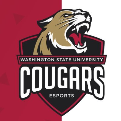 Official page of Washington State University Esports and Gaming! Follow for news, updates, and more!
#OnTheProwl #goCougs
Business Inquiries: wsuega@gmail.com