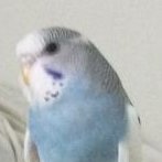 Cyluss (@cylussyt) 's Twitter Profile Photo Cyluss (@cylussyt) 's Twitter Profile Photo