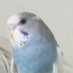 Cyluss (@cylussyt) Twitter profile photo Cyluss (@cylussyt) Twitter profile photo