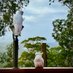 Dandenong ranges near Skyhigh (@haifeng97833804) Twitter profile photo Dandenong ranges near Skyhigh (@haifeng97833804) Twitter profile photo