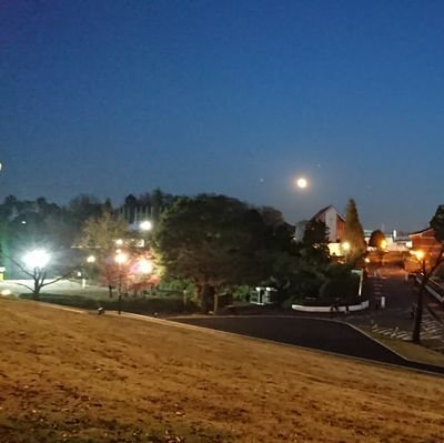 T_gamba1707's profile picture. 