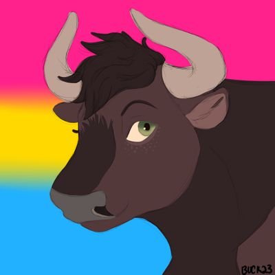 KassRuffi | COMMISSIONS OPENさんのプロフィール画像