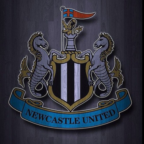 TimmyBe11s's profile picture. there is no cure for a cunt