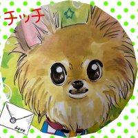 チッチ&こむぎ(@0rnIagOzmuoQxsi) 's Twitter Profile Photo
