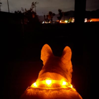 phybmcdjsg's profile picture. 