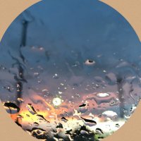 こはく (@kohaku_noki) 's Twitter Profile