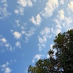 يارب سيّر لنا الأشياء مثل ما نحب و ما نتمنى 🌿