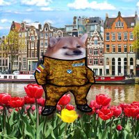 DutchFella (@dutchfella79852) 's Twitter Profile Photo DutchFella (@dutchfella79852) 's Twitter Profile Photo