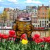 DutchFella (@dutchfella79852) Twitter profile photo DutchFella (@dutchfella79852) Twitter profile photo