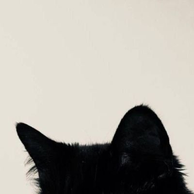Su.さんのプロフィール画像